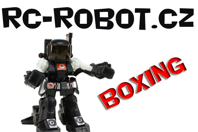 RC Robot